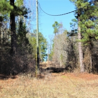 Great Recreational and Hunting Property images 6