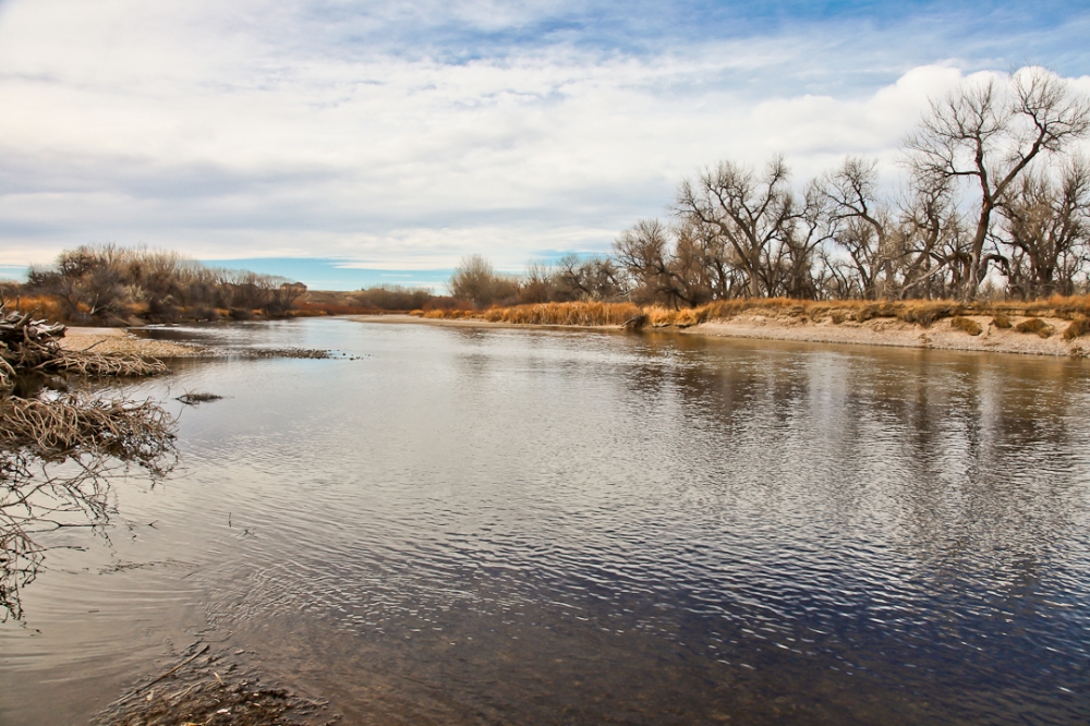 North Platte Waterfowl Haven featured image