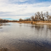 North Platte Waterfowl Haven