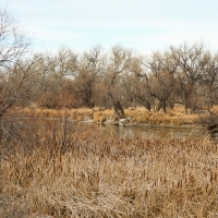 North Platte Waterfowl Haven images 6