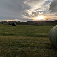 Mummy Range View Ranch images 3