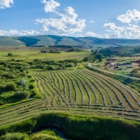 Crump Ranch images 4