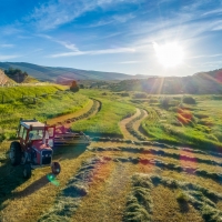 Crump Ranch images 6