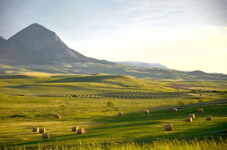 Judith Mountains Ranch featured image