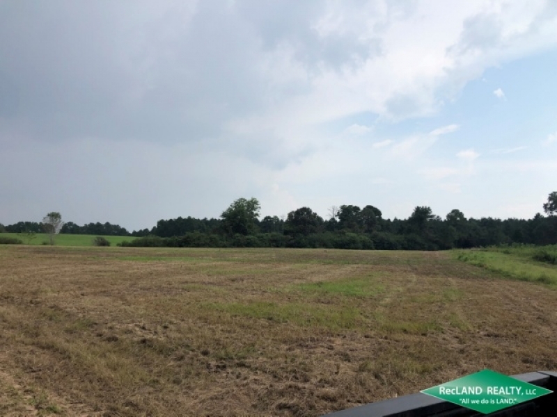 42 ac - Hunting Tract with Camp - PRICE REDUCED featured image