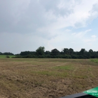 42 ac - Hunting Tract with Camp - PRICE REDUCED