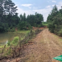 42 ac - Hunting Tract with Camp - PRICE REDUCED images 2