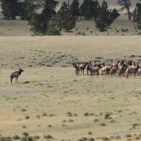Winding River Ranch images 2