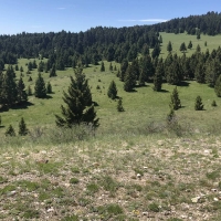 Antelope Hill Acres images 5