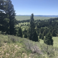 Antelope Hill Acres images 6
