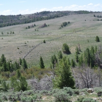 South Pass 40 Cabin Site images 2