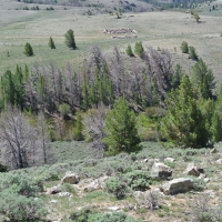 South Pass 40 Cabin Site images 4