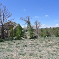 South Pass 40 Cabin Site images 5
