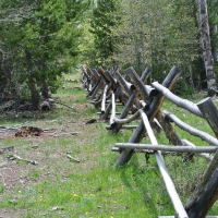 South Pass 40 Cabin Site images 6