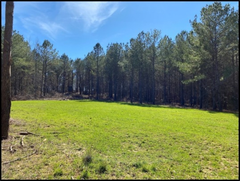 70 Acres in Leake County in Walnut Grove MS Hunting Land for Sale