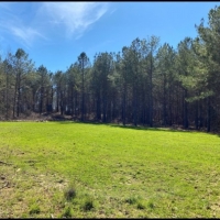 70 Acres in Leake County in Walnut Grove  MS