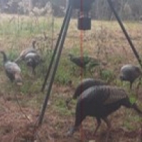 70 Acres in Leake County in Walnut Grove  MS images 2