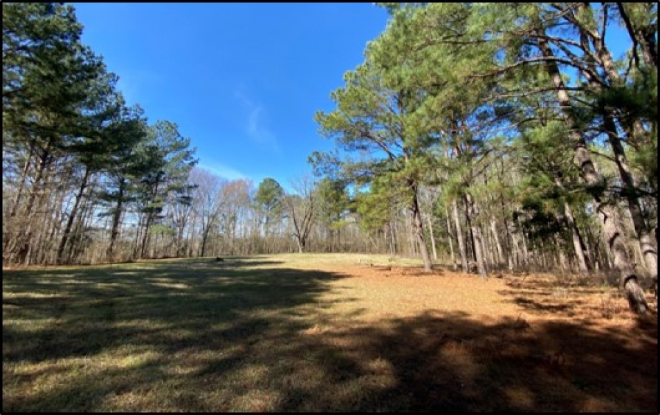 70 Acres in Leake County in Walnut Grove MS Hunting Land for Sale