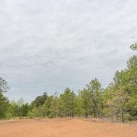 162 Acres &nbsp; CR 2864 &nbsp; Tract 1017 images 6