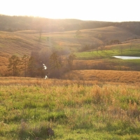 Zanoni Mills Luxury Ranch For Sale in Southern MO images 6