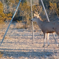 640 acre hunting ranch images 2