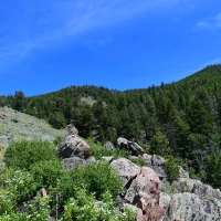 North Park Overlook images 3