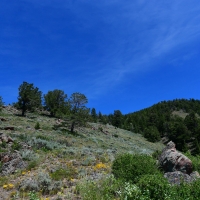 North Park Overlook images 4