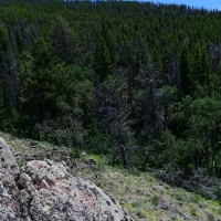 North Park Overlook images 5