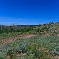 North Park Overlook images 6