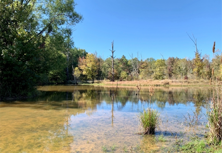 82 Acres in Oktibbeha County in Starkville MS Hunting Land for Sale