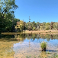 82 Acres in Oktibbeha County in Starkville  MS