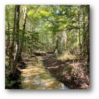82 Acres in Oktibbeha County in Starkville  MS images 3