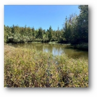 82 Acres in Oktibbeha County in Starkville  MS images 6