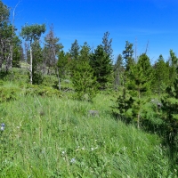 Boulder Ridge Valley View images 3