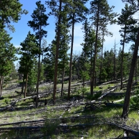 Boulder Ridge Valley View images 5