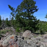 Boulder Ridge Valley View images 6
