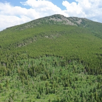 Twin Spruce Retreat images 3