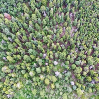 Twin Spruce Retreat images 6