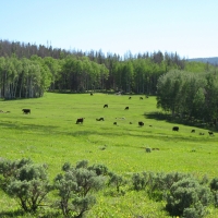 Sierra Madre Ranch