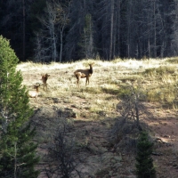 Sierra Madre Ranch images 5