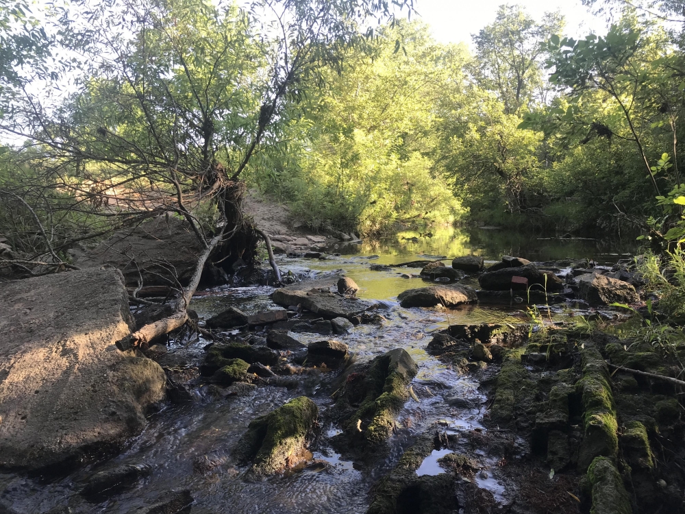 Kanopolis Creek Bottom Hunting Land for Sale