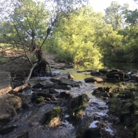 Kanopolis Creek Bottom