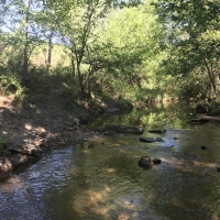 Kanopolis Creek Bottom images 3