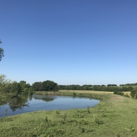 Kanopolis Creek Bottom images 4