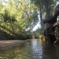 Kanopolis Creek Bottom images 5
