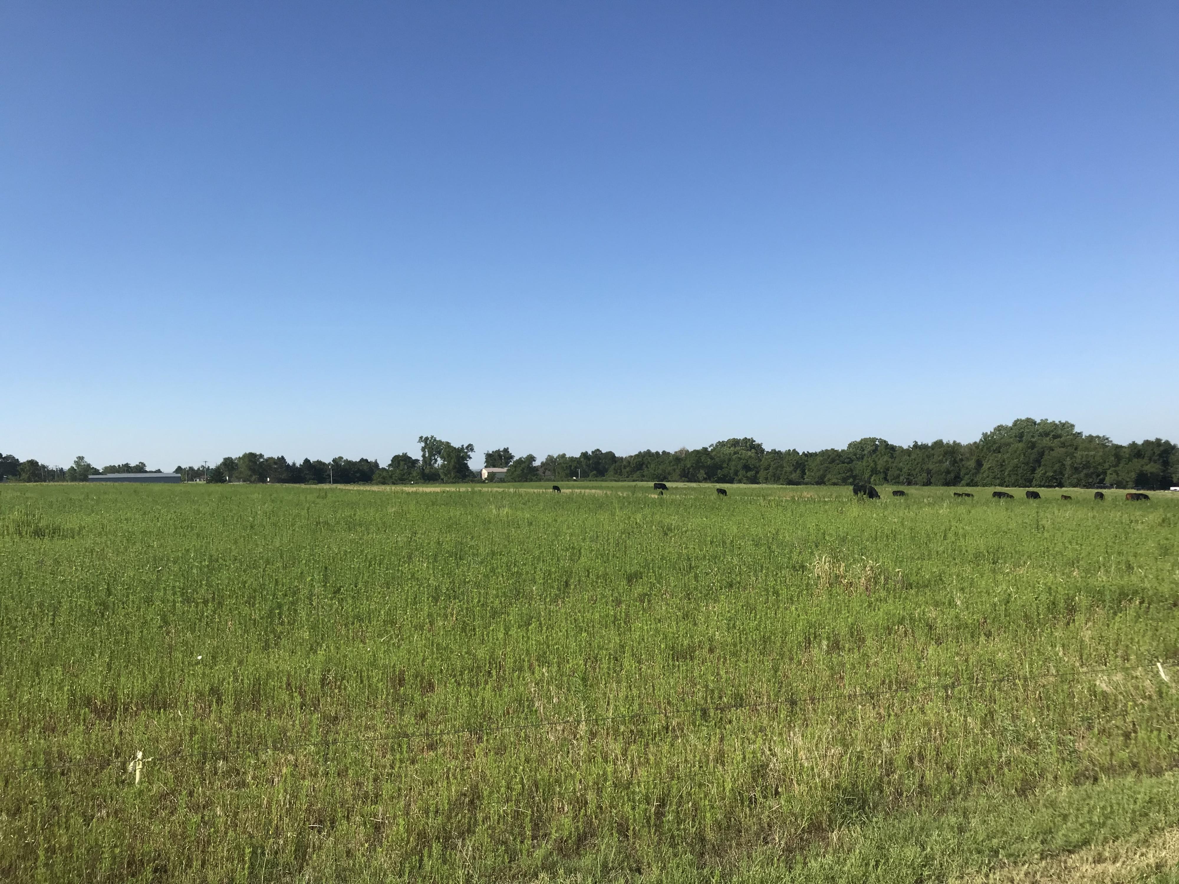 Kanopolis Creek Bottom Hunting Land for Sale