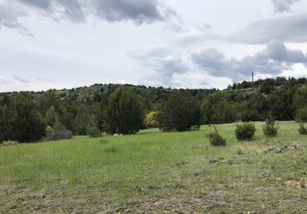 Little Owl Canyon Ranch Southeast featured image