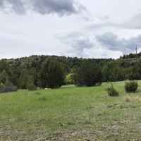 Little Owl Canyon Ranch Southeast images 1