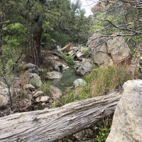 Little Owl Canyon Ranch Southeast images 3