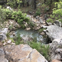 Little Owl Canyon Ranch Southeast images 4
